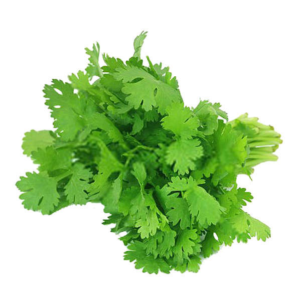 Coriander Leaves 100 gm