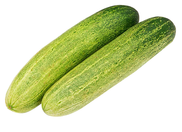 Cucumber (Net Weight ± 20 gm) 500 gm